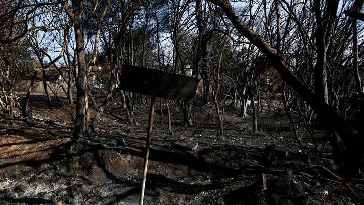 Ξεκίνησε η υλοτόμηση και απομάκρυνση των καμένων δένδρων στην Μαραθώνος