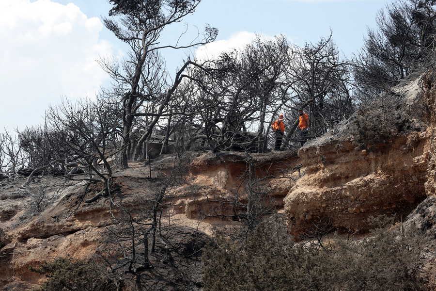Φάμελλος: Καταπατημένη δασική έκταση το οικόπεδο του θανάτου στο Μάτι