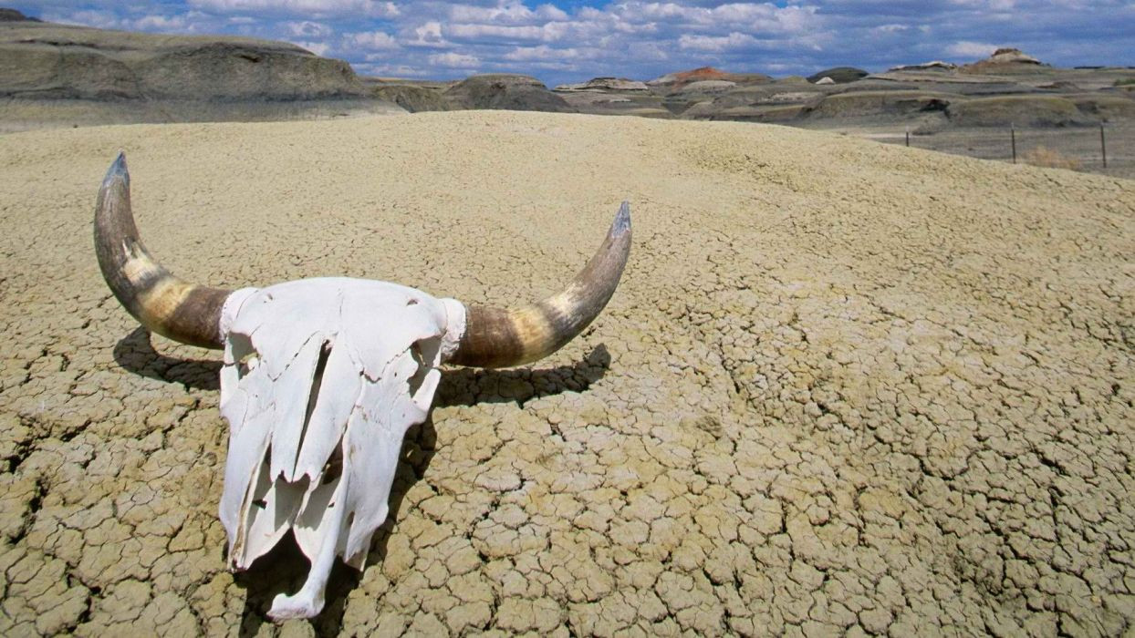 Παγκόσμιο ρεκόρ ζέστης τον Ιούλιο στην Κοιλάδα του Θανάτου