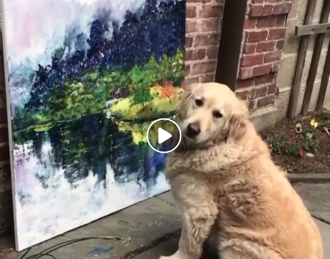 Αυτός ο σκύλος είναι ο καλύτερος κριτικός έργων τέχνης [ΒΙΝΤΕΟ]