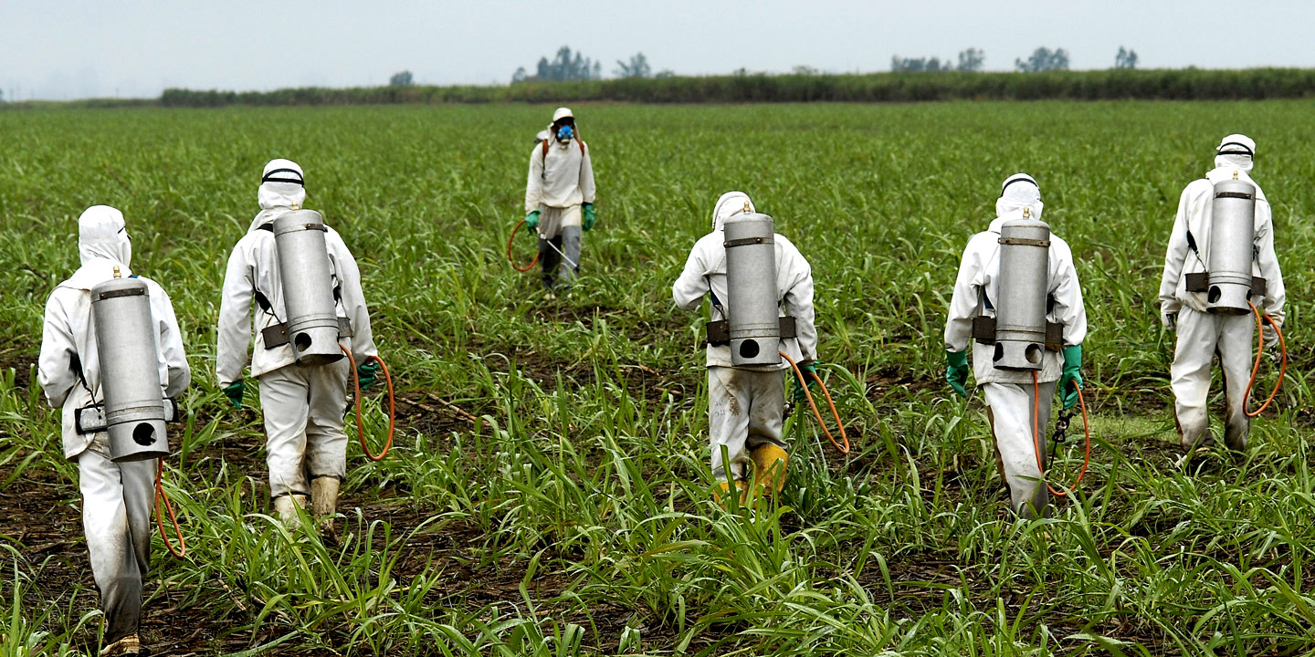 Ένοχη η Monsanto για το Roundup – Αποζημίωση 290 εκατ. σε κηπουρό που νόσησε από καρκίνο