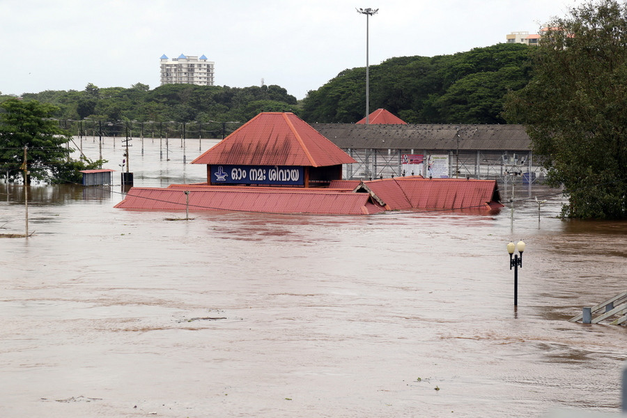 Ινδία: Σε ετοιμότητα για επέλαση φιδιών μετά τις πλημμύρες