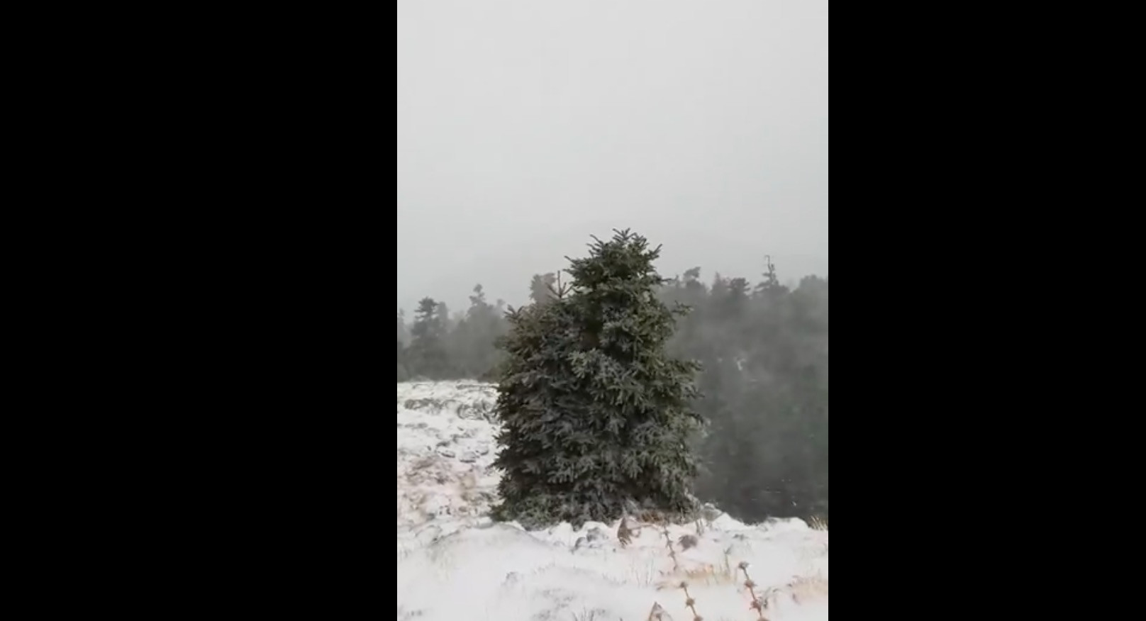 Χιονοθύελλα στον Παρνασσό [Βίντεο]