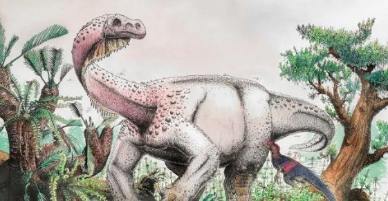 Ανακάλυψαν νέο είδος δεινοσαύρου – γίγαντα! [ΒΙΝΤΕΟ]