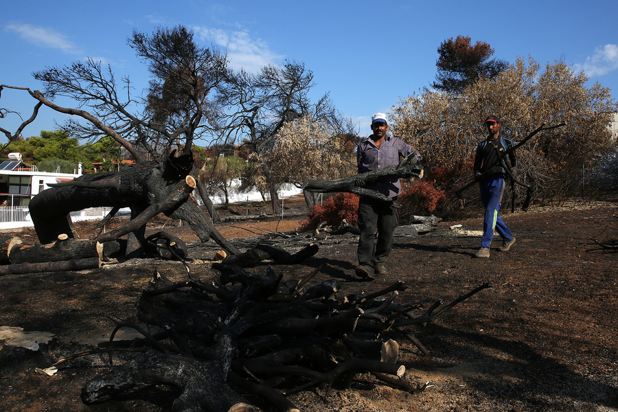 Εξηγήσεις έδωσε στους εισαγγελείς ο δήμαρχος Ραφήνας-Πικερμίου για το Μάτι