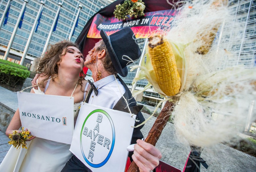 «Ματωμένος γάμος» Bayer – Monsanto: 12.000 απολύσεις μέχρι το 2021