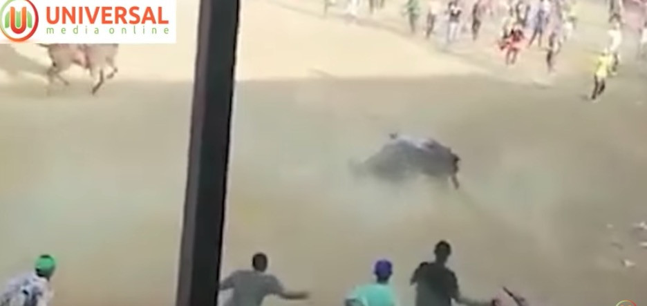 Η εκδίκηση του ταύρου [Βίντεο]