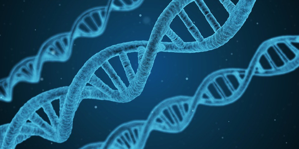 Οστεοαρθρίτιδα: Ανακαλύφθηκαν 52 «ένοχα» γονίδια