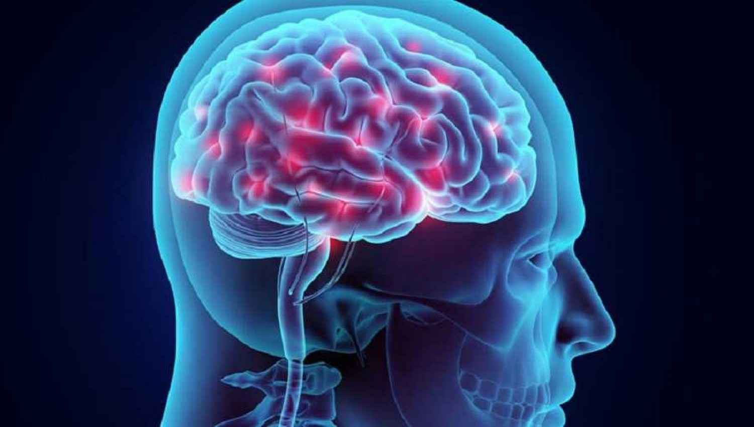 Ο εγκέφαλος της γυναίκας είναι βιολογικά «νεότερος» από τον εγκέφαλο του άντρα
