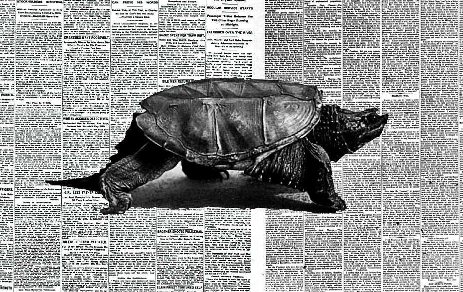 Slow News: Δημοσιογραφία με ρυθμούς… χελώνας