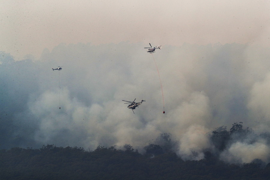 Αυστραλία: Δασικές πυρκαγιές και καύσωνας [Βίντεο]