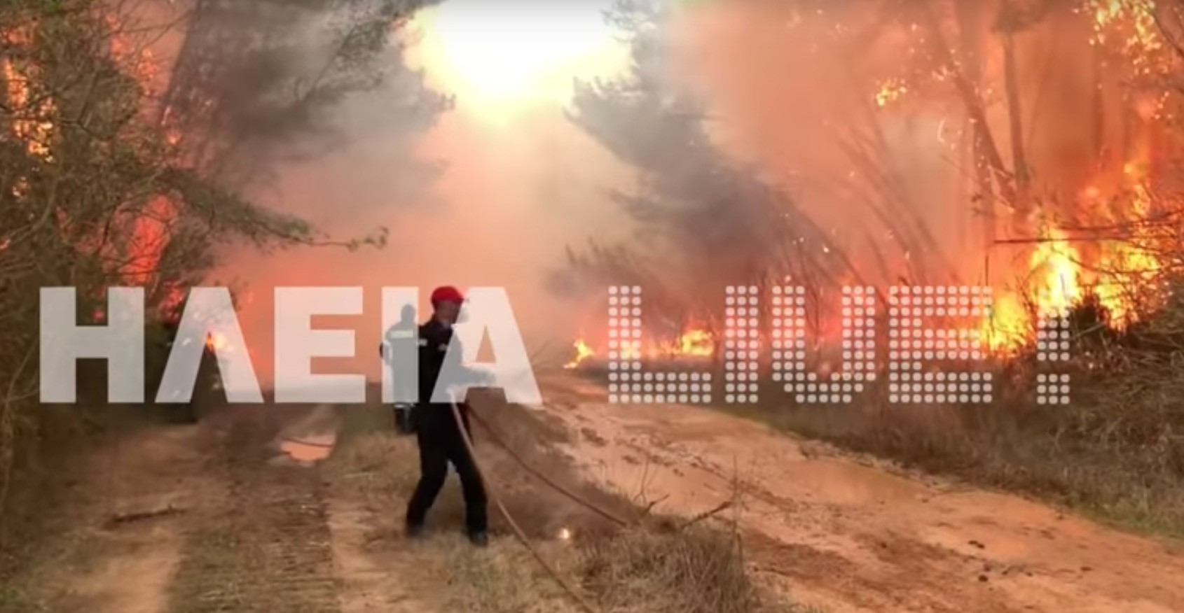 Μεγάλη φωτιά στο δάσος της Στροφυλιάς [Βίντεο]