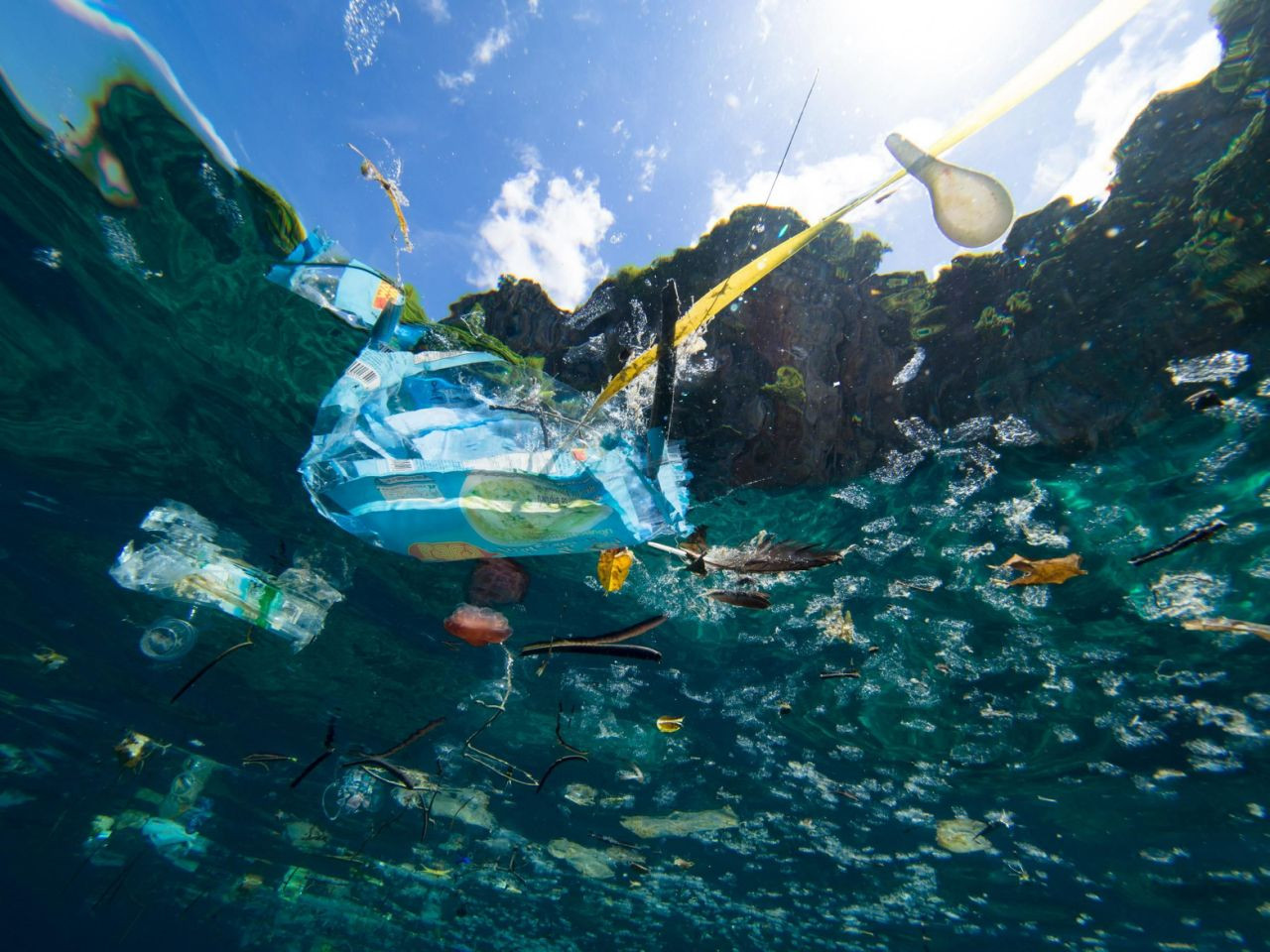 Το 50% των απορριμμάτων των ελληνικών θαλασσών είναι κουτιά, μπουκάλια και σακούλες