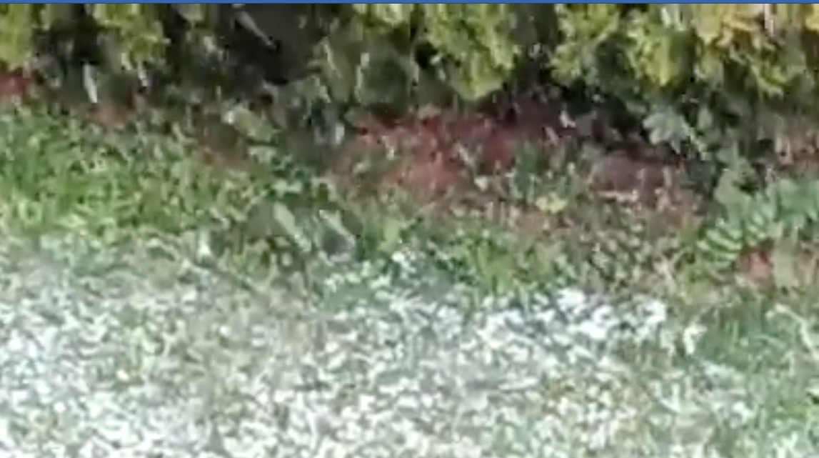 Με χιόνι κάνει ποδαρικό ο Μάιος στην Φλώρινα [Βίντεο]