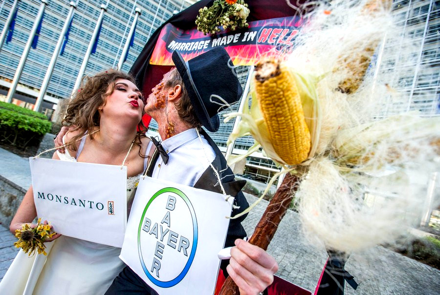 Bayer – Monsanto: Αυτά έχουν οι «γάμοι της κολάσεως»