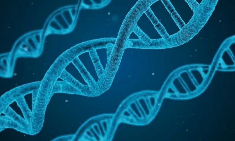 Δημιούργησαν τον πρώτο συνθετικό μικροοργανισμό με 100% ανασχεδιασμένο DNA