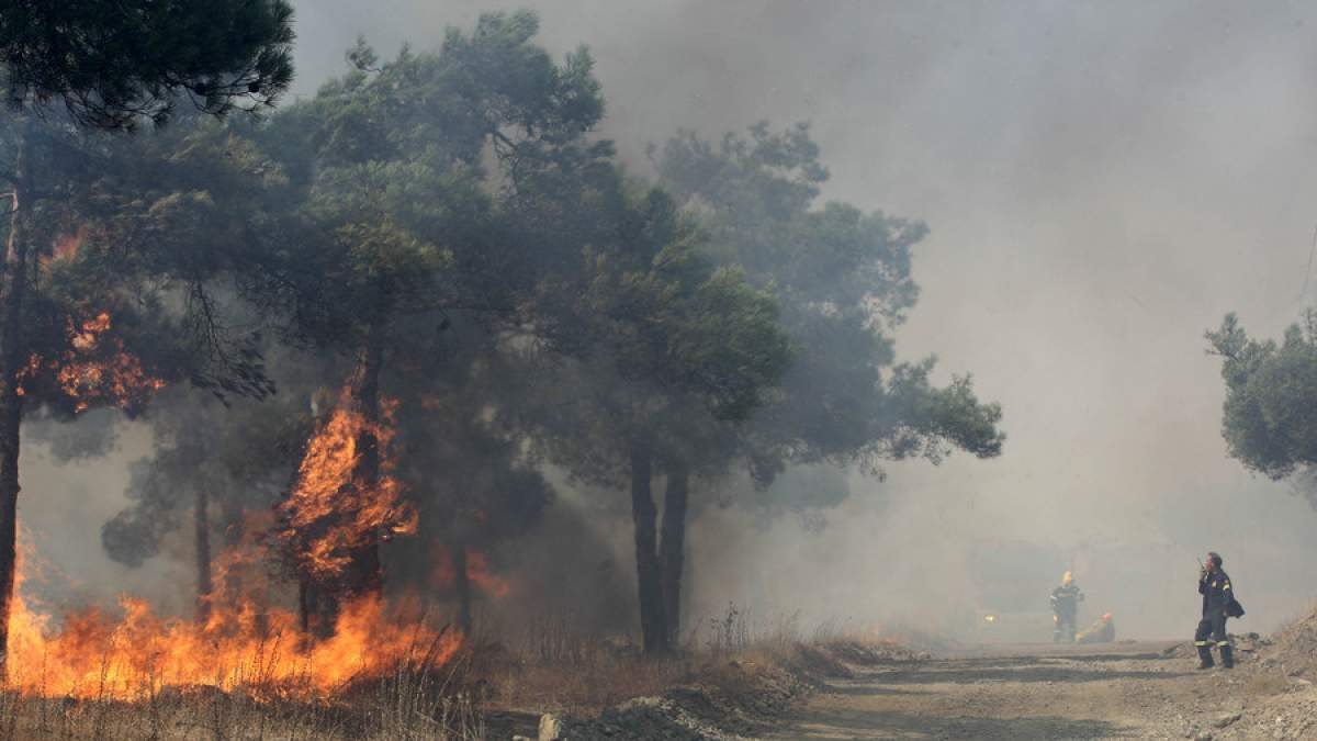 Μεγάλη πυρκαγιά στο Λαγονήσι