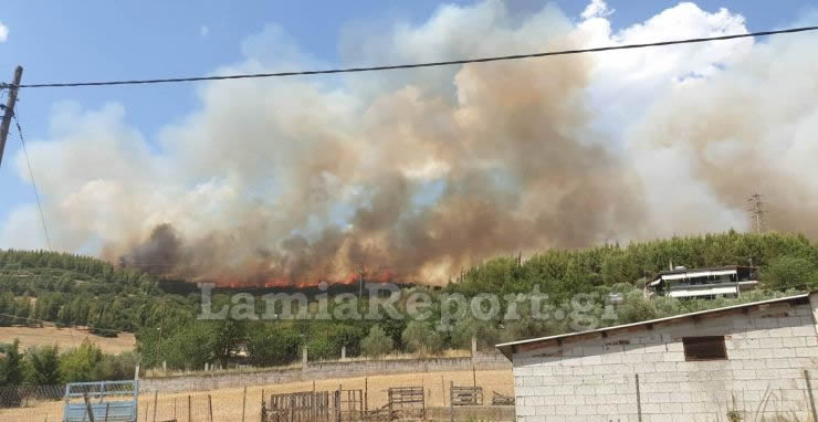 Φθιώτιδα: Μεγάλη φωτιά ανάμεσα στο Καστρί και τη Γραμμένη