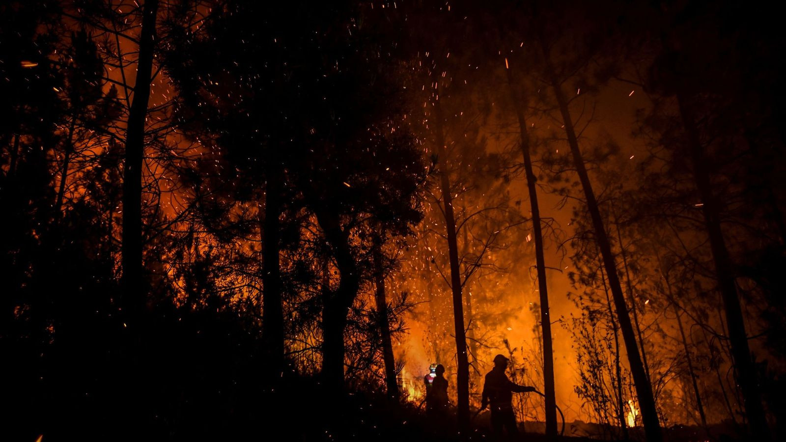 Παραδομένη στις φλόγες η κεντρική Πορτογαλία: 900 πυροσβέστες στη μάχη