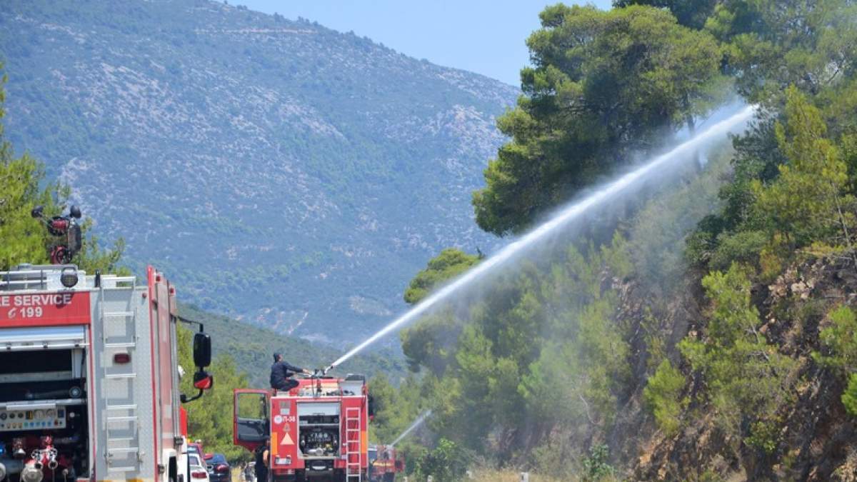 Υπό έλεγχο η φωτιά στην Τανάγρα