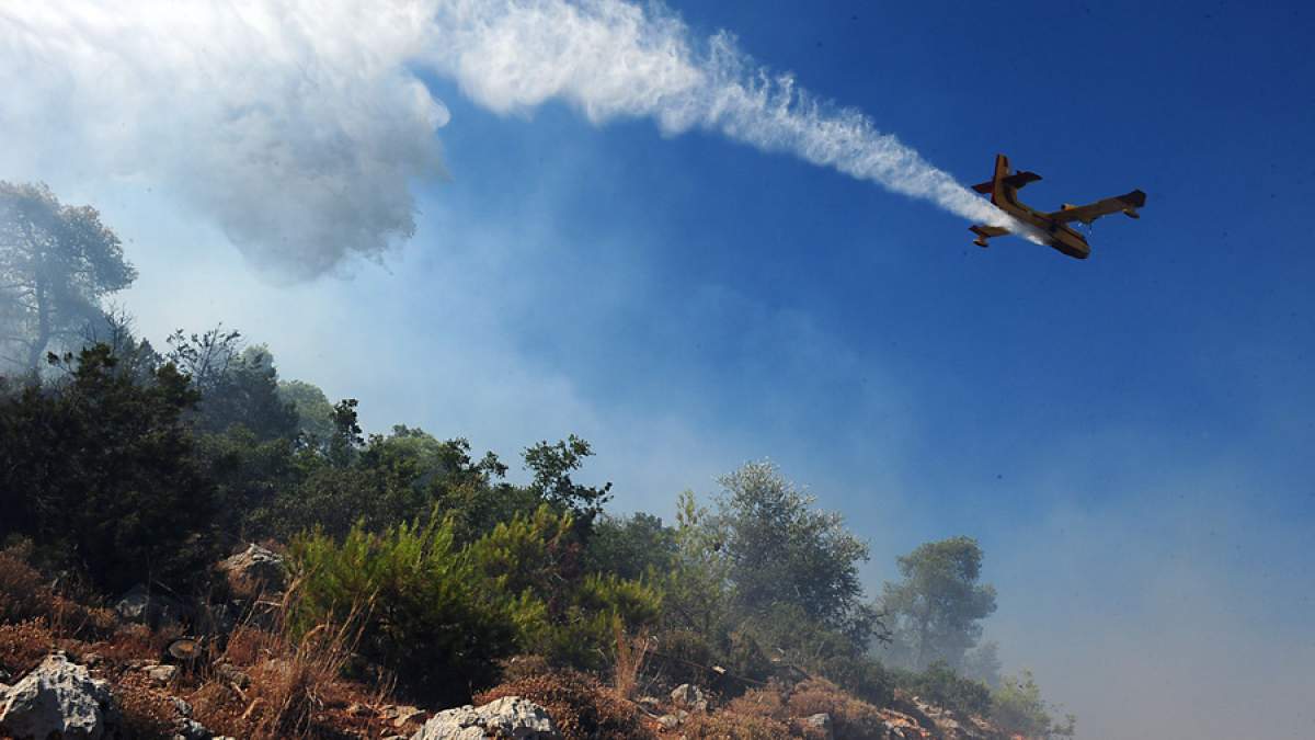 Υπό μερικό έλεγχο πυρκαγιά η φωτιά στην Αγία Παρασκευή Χαλκιδικής