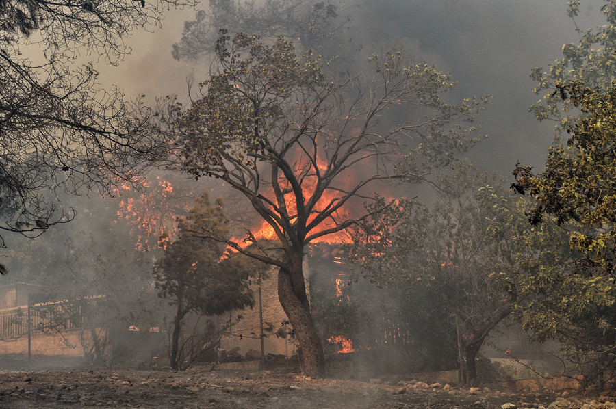 Φωτιά στην Κινέτα: Από στύλο της ΔΕΗ ξεκίνησε η πυρκαγιά σύμφωνα με το πόρισμα