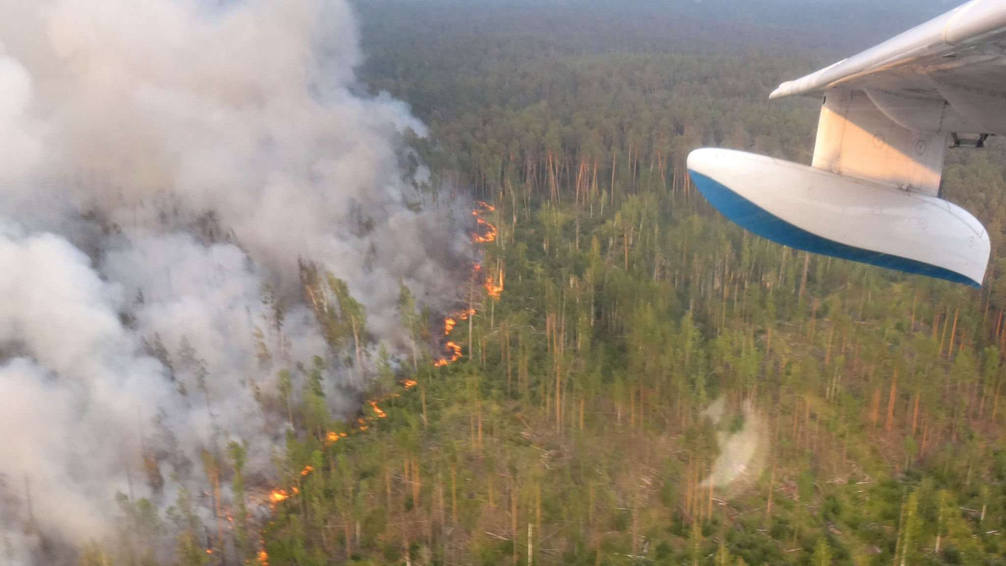 Ανυπολόγιστη η οικολογική καταστροφή από τις καταστροφικές πυρκαγιές στη Σιβηρία