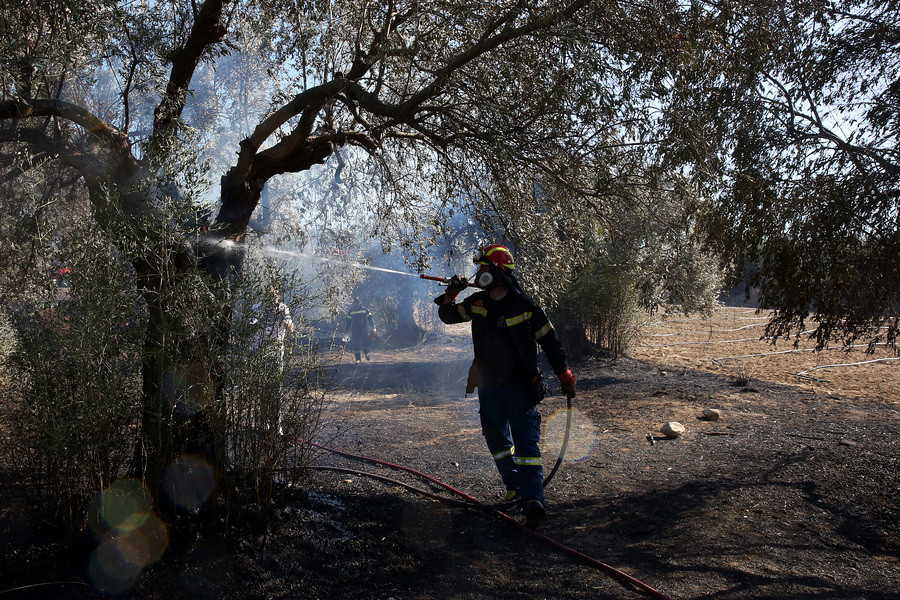 Σε ύφεση η φωτιά στην Ελαφόνησο – Παραμένουν σε επιφυλακή οι αρχές σε όλη τη χώρα