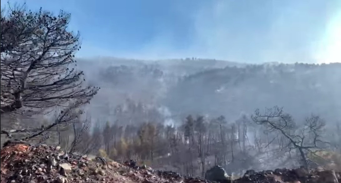 Τεράστια οικολογική καταστροφή από την πυρκαγιά στην Εύβοια [Βίντεο]