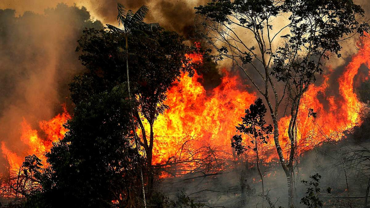Ο Μπολσονάρο στέλνει τον στρατό να σβήσει τις φωτιές στον Αμαζόνιο