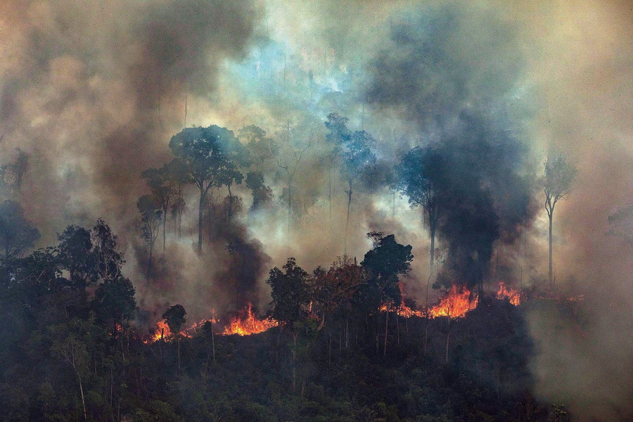 Γιατί οι φωτιές στον Αμαζόνιο μας αφορούν όλους;