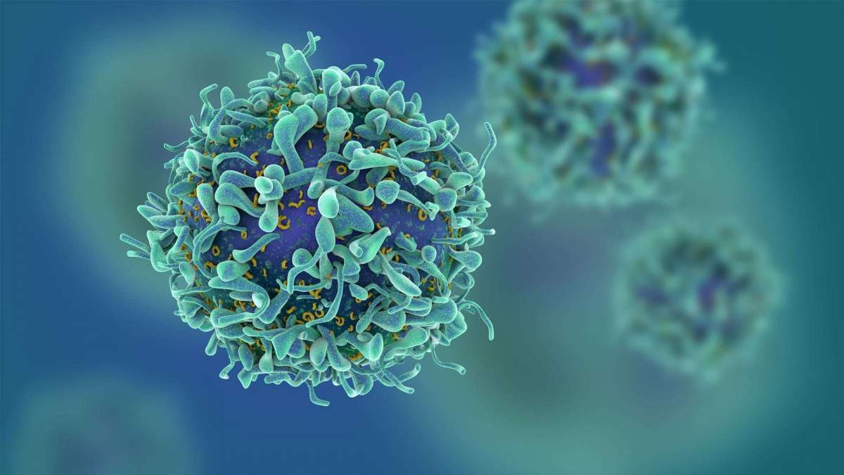 Σπάνια γενετική μετάλλαξη δημιουργεί «φυσική ανοσία» στον ιό του AIDS