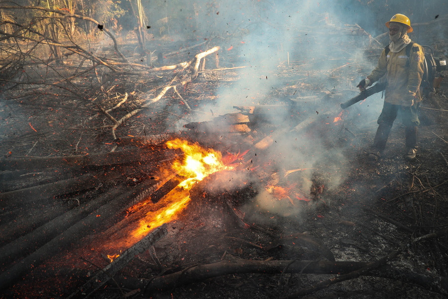 Ανυπολόγιστη καταστροφή από τις δασικές πυρκαγιές στη Βολιβία – Πάνω από 2 εκ. άγρια ζώα πέθαναν [Βίντεο]