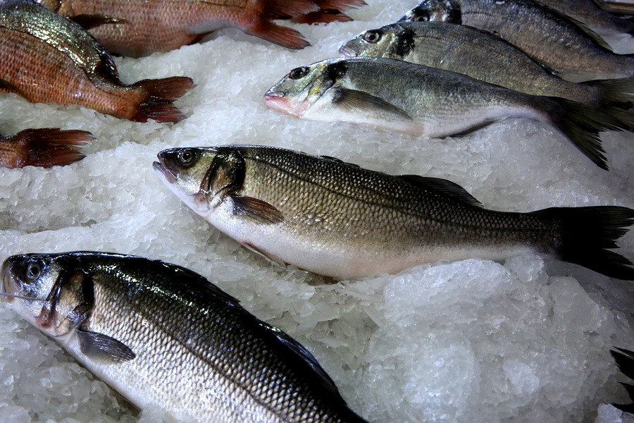 Χρ. Στελακάτος: «Η βιομηχανία ψαριών μάς ταΐζει καρκίνο, δεν θα σταματήσω να το λέω»