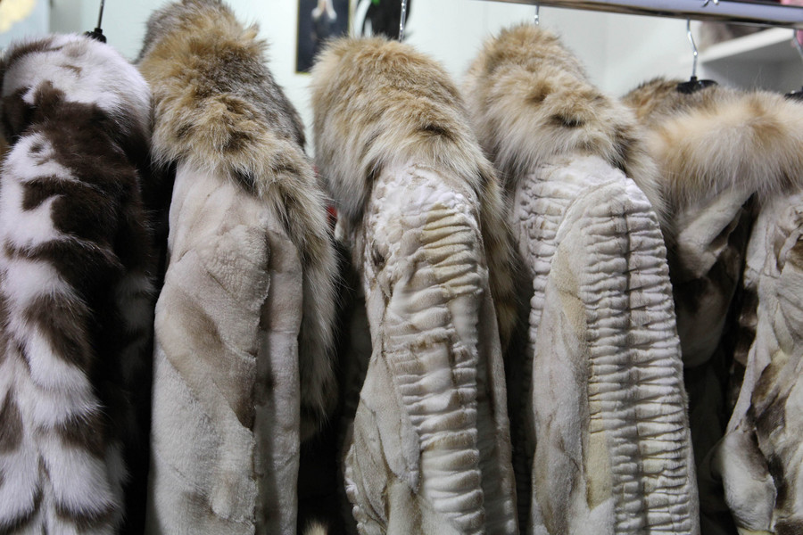 Φιλοζωική Ομοσπονδία κατά Άδωνι για τις γούνες: «Είναι η ηθική, υπουργέ»