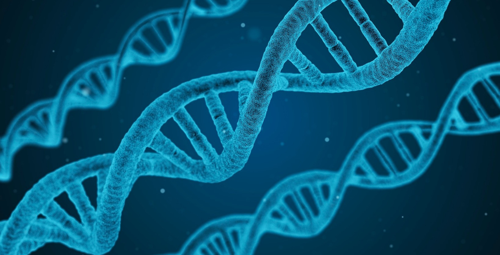 Εντοπίστηκαν δέκα γονίδια που αυξάνουν τον κίνδυνο σχιζοφρένειας