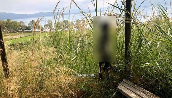 Κτηνωδία στη Φθιώτιδα: Κρέμασαν σκύλο με σύρμα