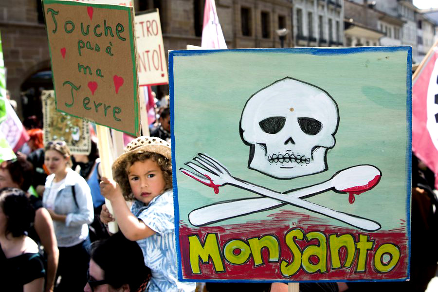Η Monsanto παραδέχτηκε ότι ψέκαζε στην Χαβάη με απαγορευμένο ζιζανιοκτόνο