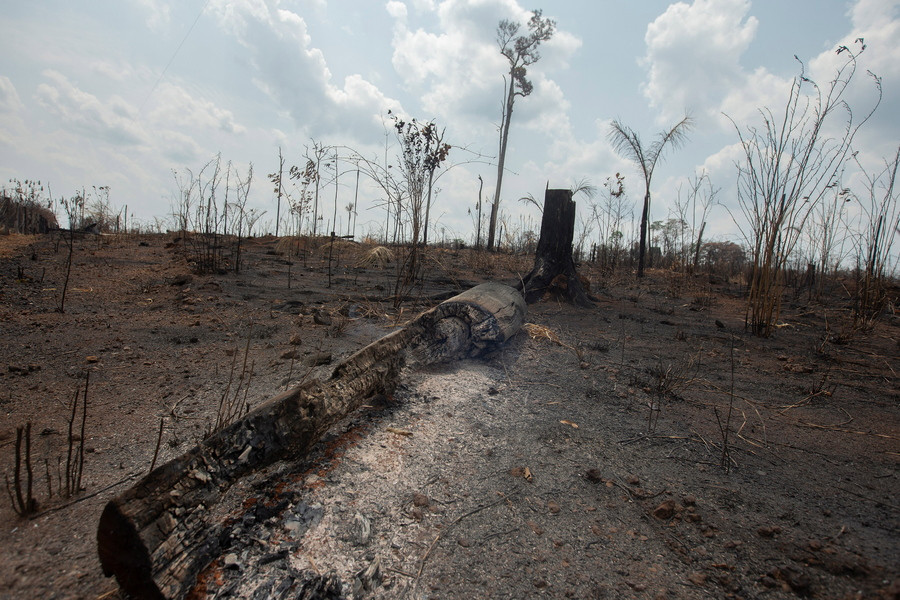 Βραζιλία: Πάνω από 10.000 τ.x. του Αμαζονίου αποψιλώθηκαν σε 10 μήνες