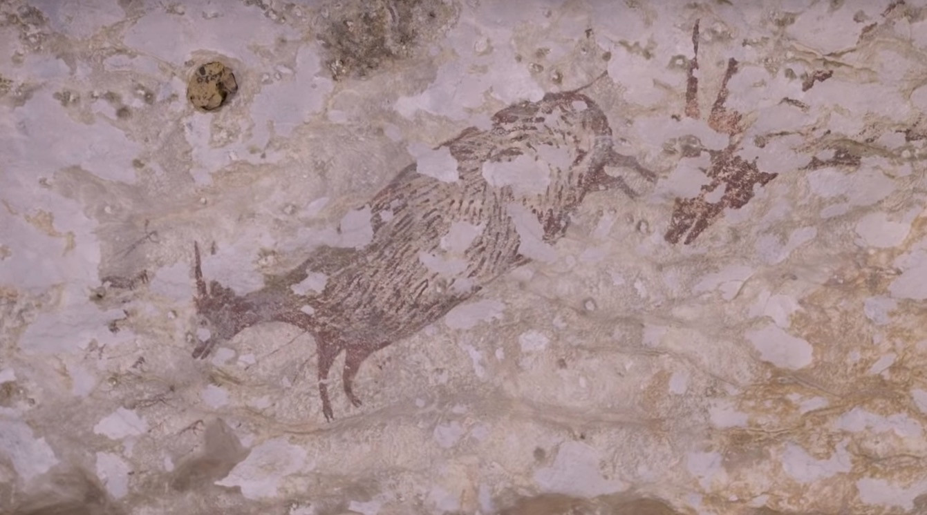 Η αρχαιότερη βραχογραφία ανακαλύφθηκε στην Ινδονησία [Βίντεο]