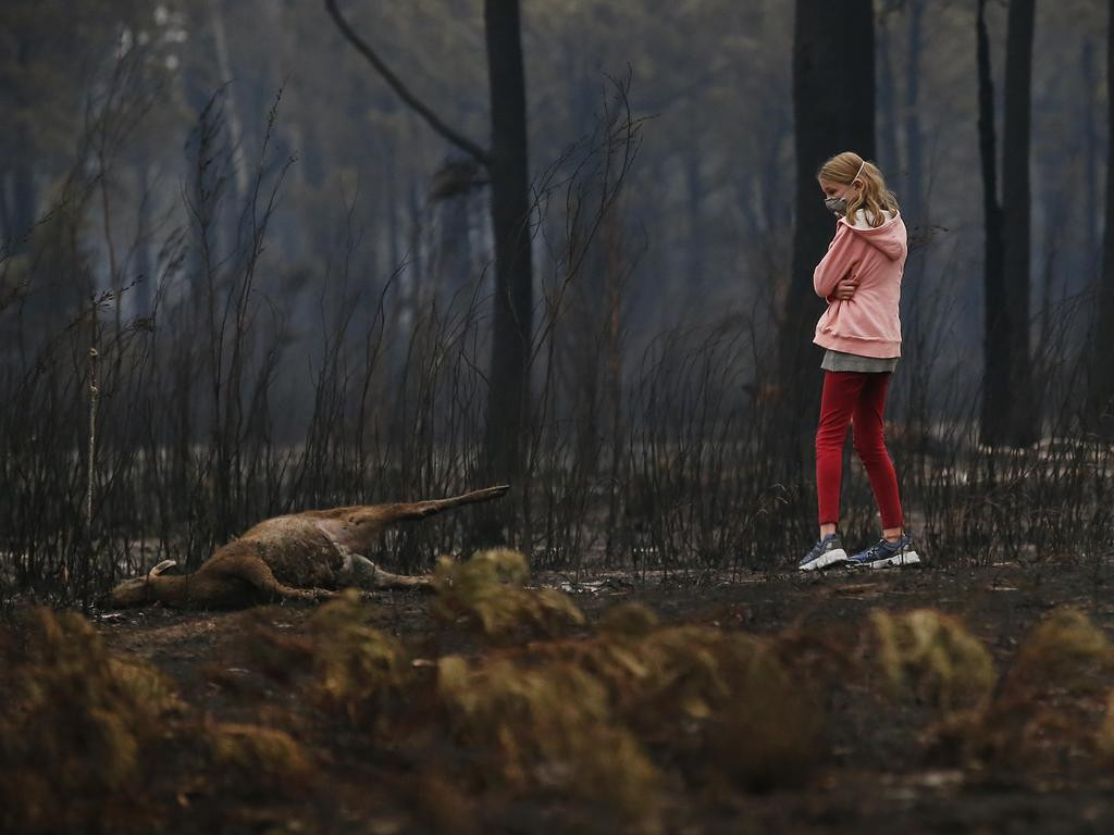 Φωτιές στην Αυστραλία: Ο μεγάλος αφανισμός των ζώων