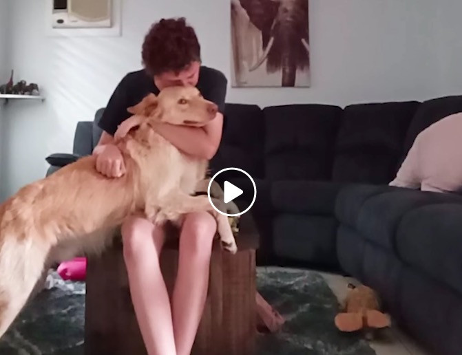 Σκύλος βοηθά κοπέλα να ξεπεράσει κρίση πανικού [ΒΙΝΤΕΟ]
