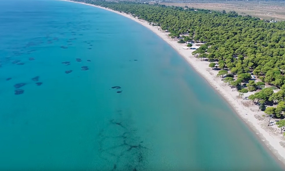 Εξωτικές εικόνες από τη μεγαλύτερη παραλία της Αττικής [ΒΙΝΤΕΟ]