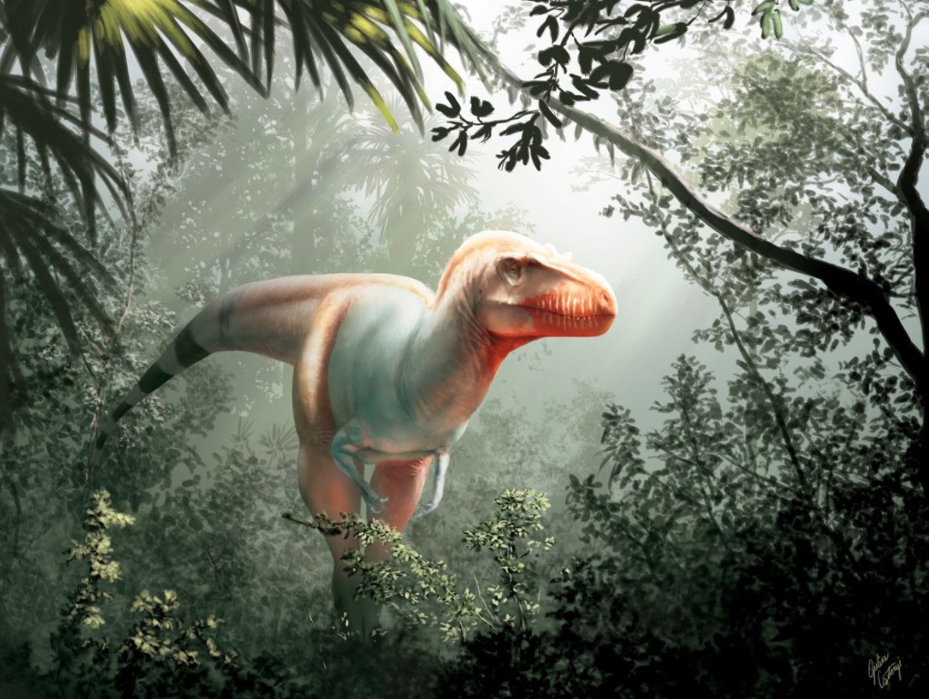 «Θανατοθεριστής»: Ανακαλύφθηκε ο φονικός «ξάδελφος» του Τυραννόσαυρου Ρεξ
