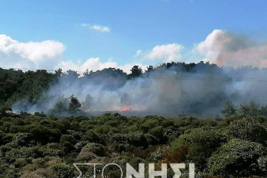 Φωτιά στο δάσος της Καράβας προκάλεσαν τα ΜΑΤ – Ξύλο χωρίς έλεος και χημικά [Βίντεο]