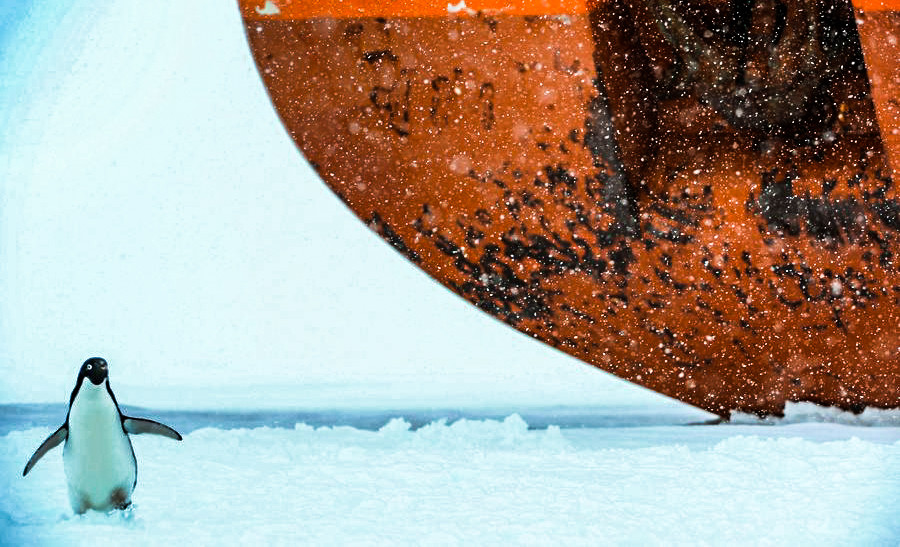Ανταρκτική: Η «Άγρια Δύση» του Νότιου Πόλου