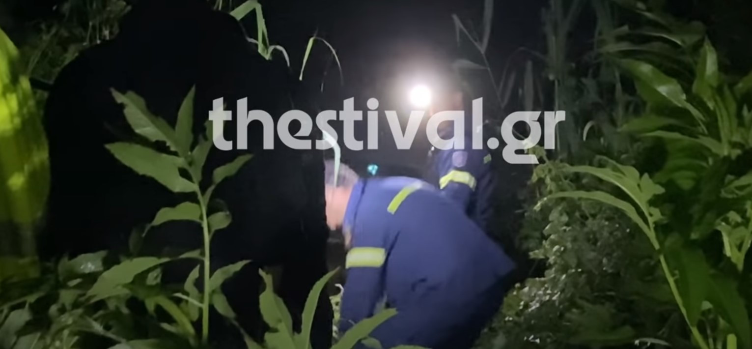 Θεσσαλονίκη: Δραματική διάσωση νεαρού που παρασύρθηκε από χείμαρρο [Βίντεο]