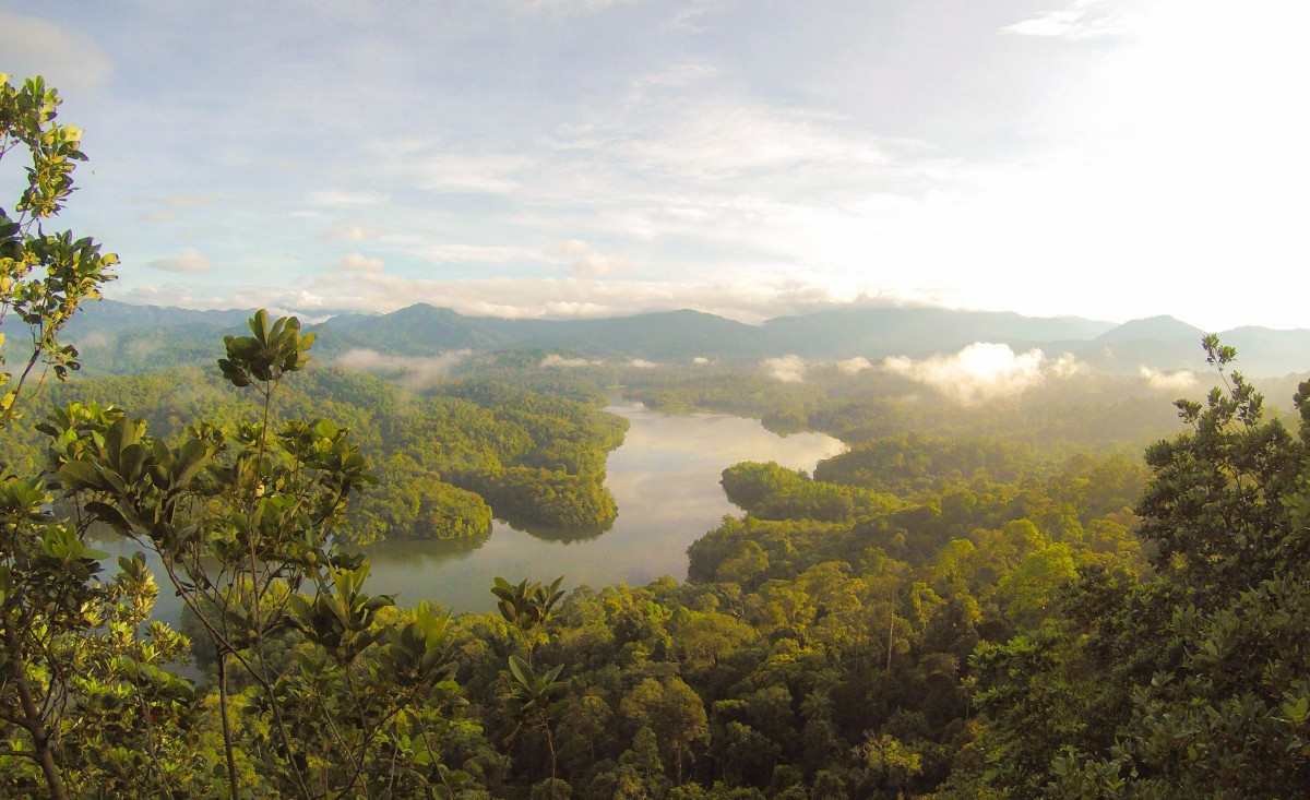 Ο πλανήτης εκπέμπει SOS: Τα τροπικά δάση μπορεί να απελευθερώνουν άνθρακα λόγω της υπερθέρμανσης