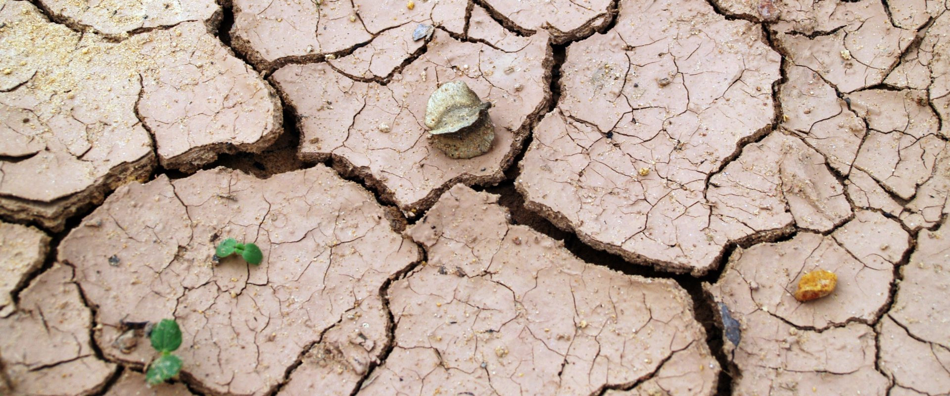 Ο κίνδυνος της ερημοποίησης και της ξηρασίας: Το 30% της Ελλάδας απειλείται