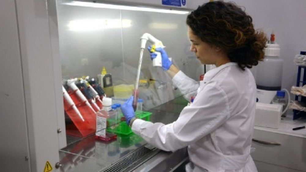 Πειραματική γονιδιακή θεραπεία μείωσε μόνιμα την «κακή» χοληστερίνη και τα τριγλυκερίδια σε πειραματόζωα
